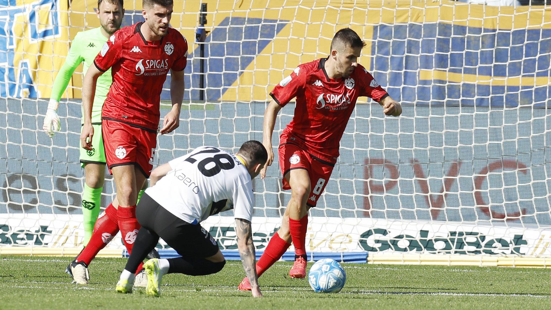 La fotogallery di Parma-Spezia
