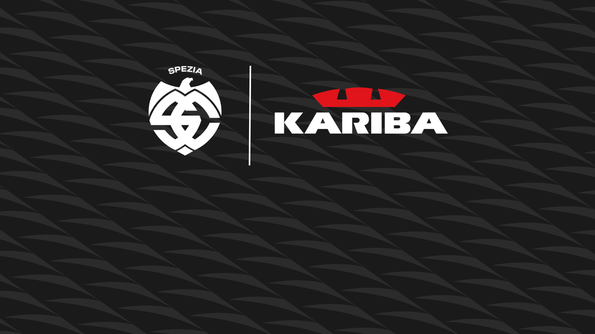 Kariba is confirmed as Top Sponsor again for the 2023/2025 biennium