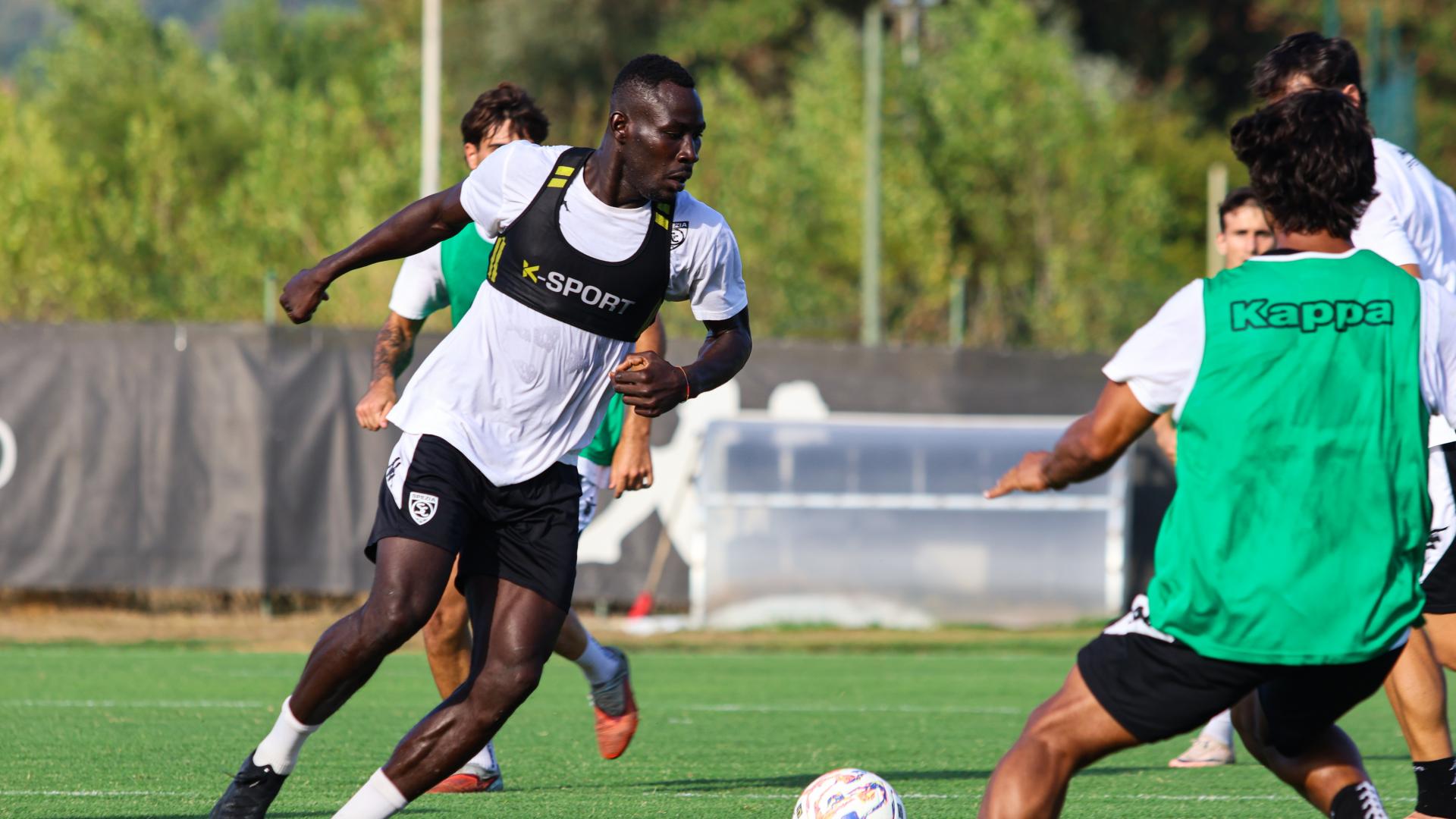 Ndow joins Cosenza