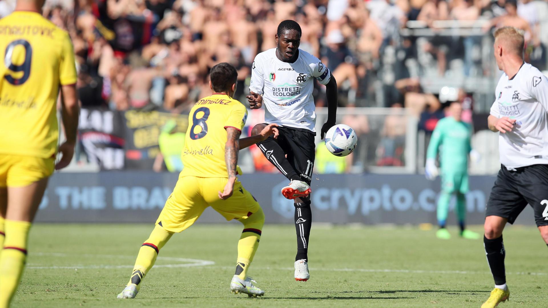 SPEZIA-BOLOGNA 2-2: highlights