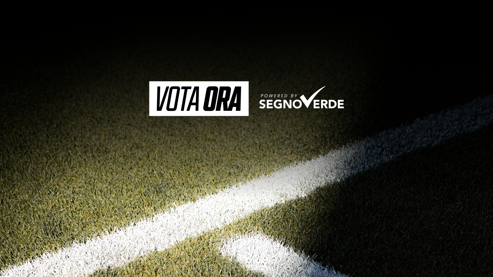 Vota il tuo Aquilotto Reale di Spezia-Padova