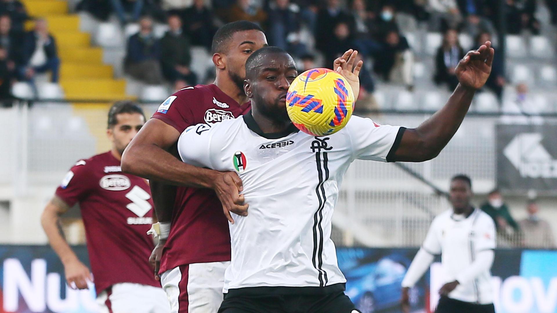 The photo gallery of Spezia-Torino