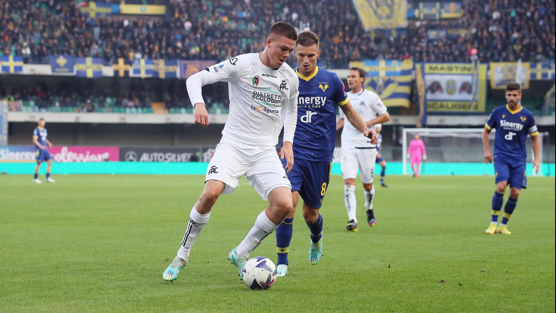 The photo gallery of Hellas Verona - Spezia