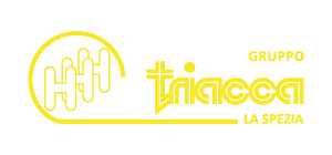 Triacca