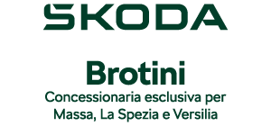Brotini